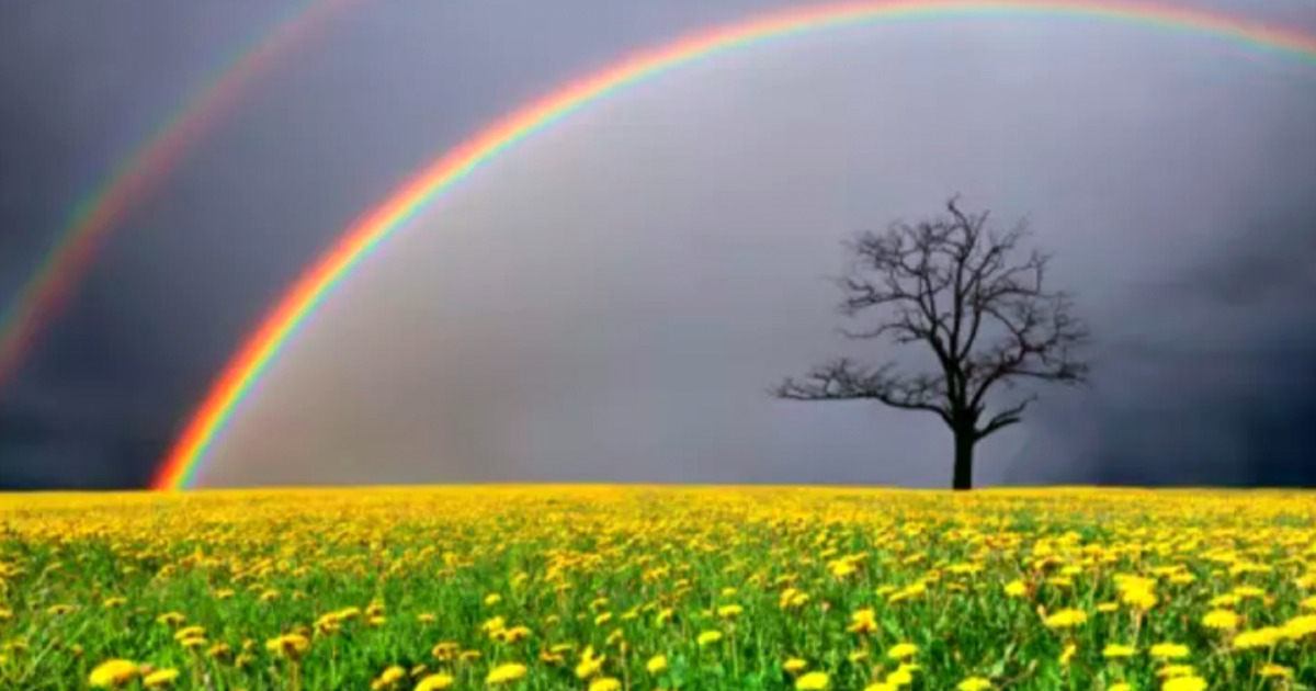 Regaliamo sorrisi-Dara Boscaro