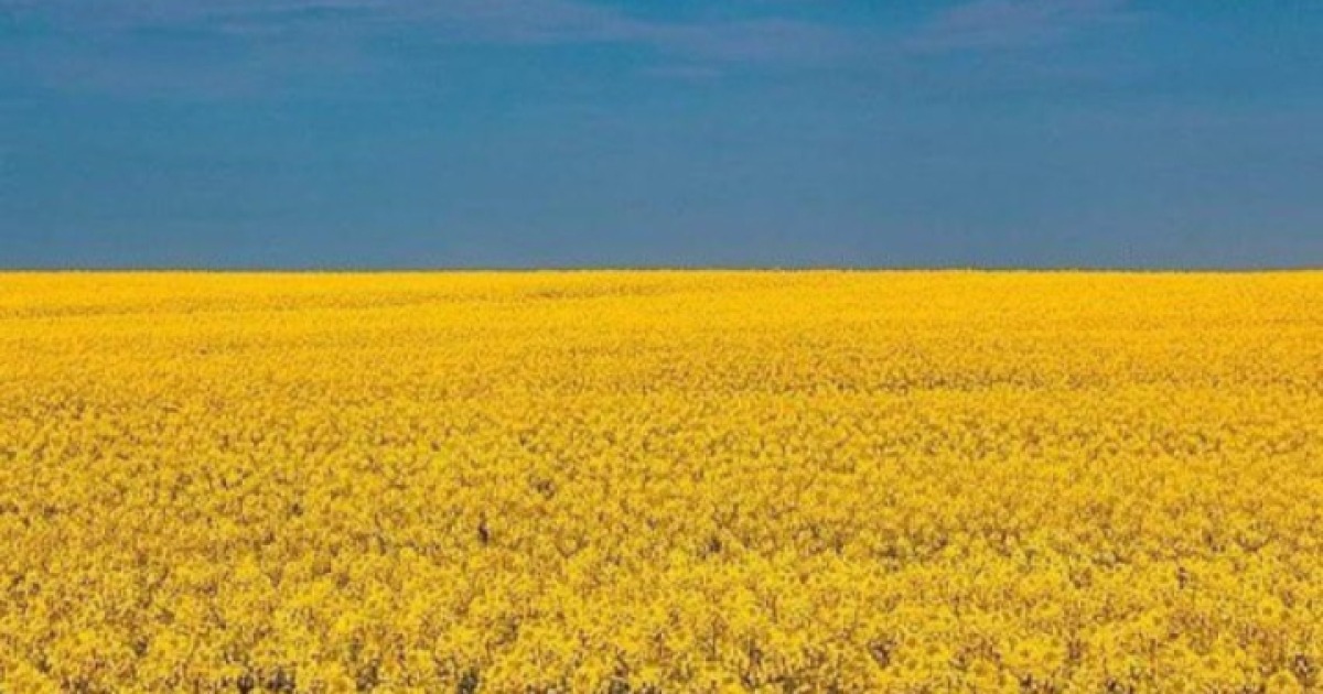 PROGETTO ARCA PER UCRAINA -Giampaolo Lovari