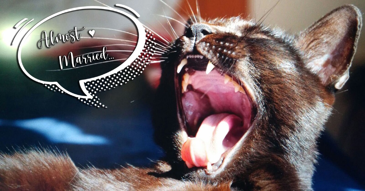 Alessandro e Francesca sposi di Francesca Puglisi Alessandro e Francesca sposi-Francesca Puglisi