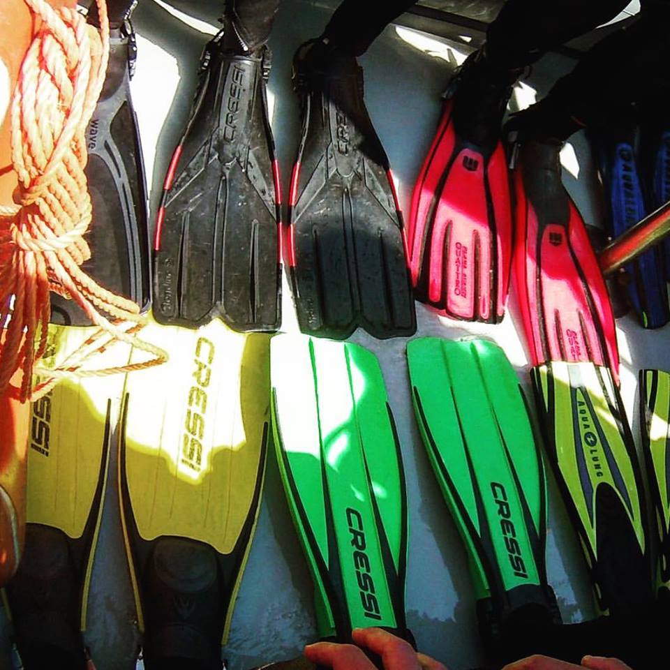 Subacquei in corsa per Luca! -Nadia Rovida