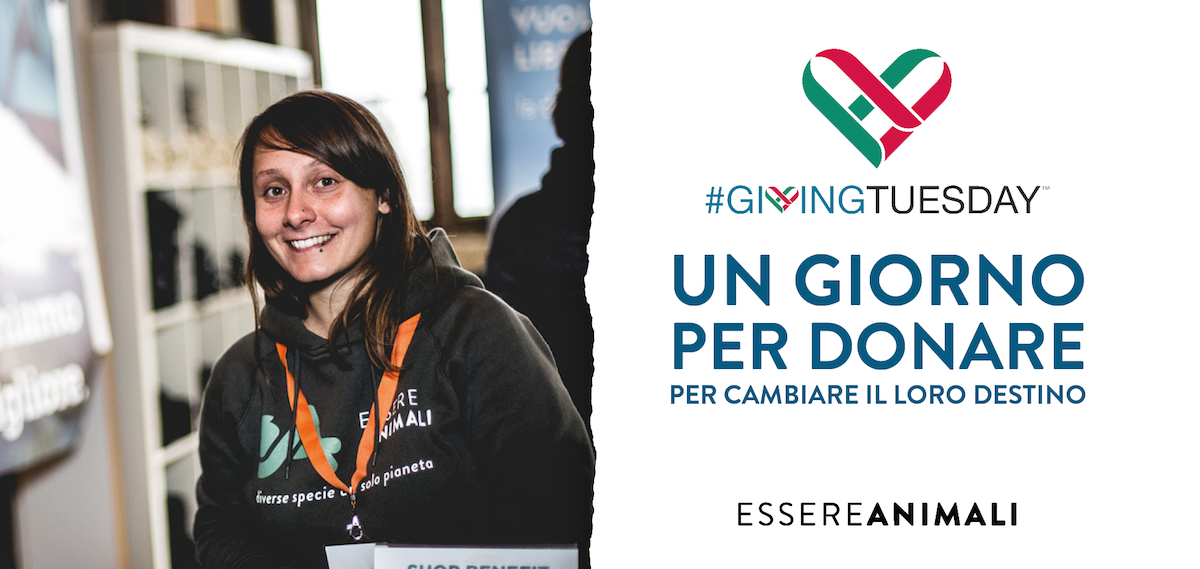 Un giorno per donare, per gli animali-Serena Capretti