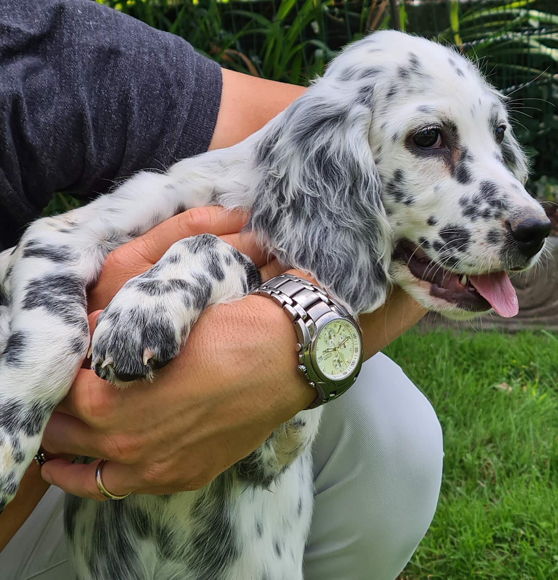 OLLI – OLtre i Limiti di Residenza Francescon OLLI – OLtre i Limiti-Residenza Francescon