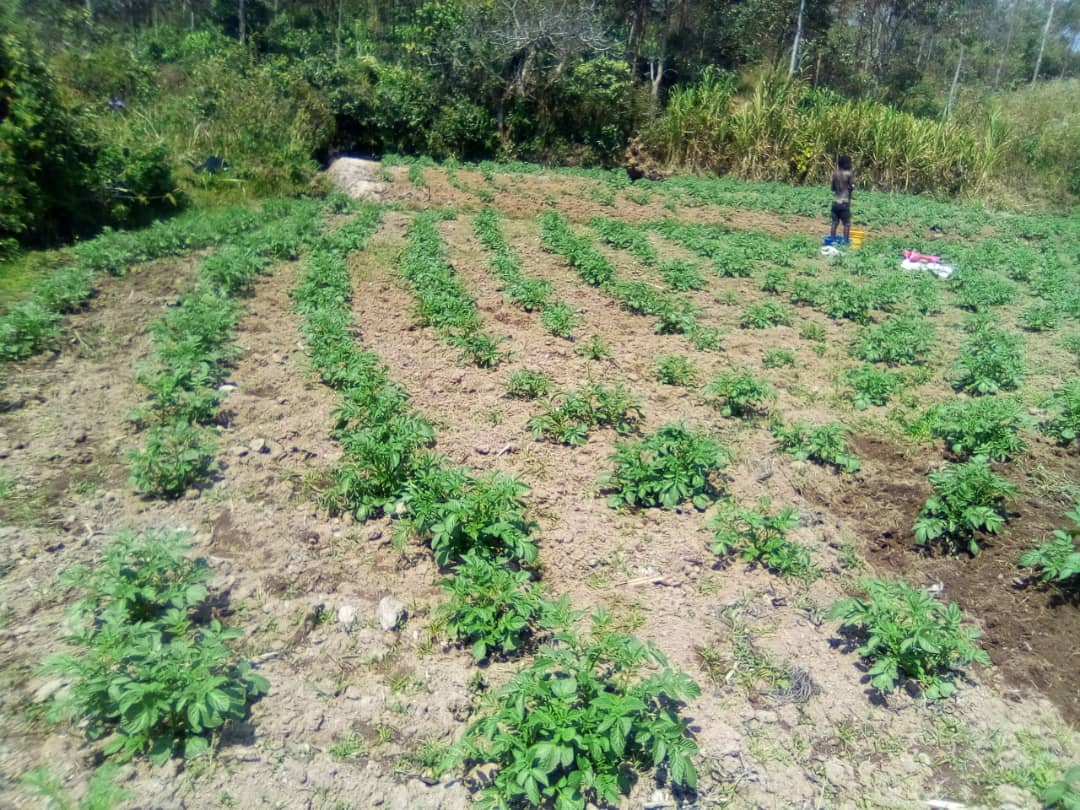 “L’unione fa la forza” (Dufatanemunda) di Rinasco per Ubuntu “L’unione fa la forza” (Dufatanemunda)-Rinasco per Ubuntu