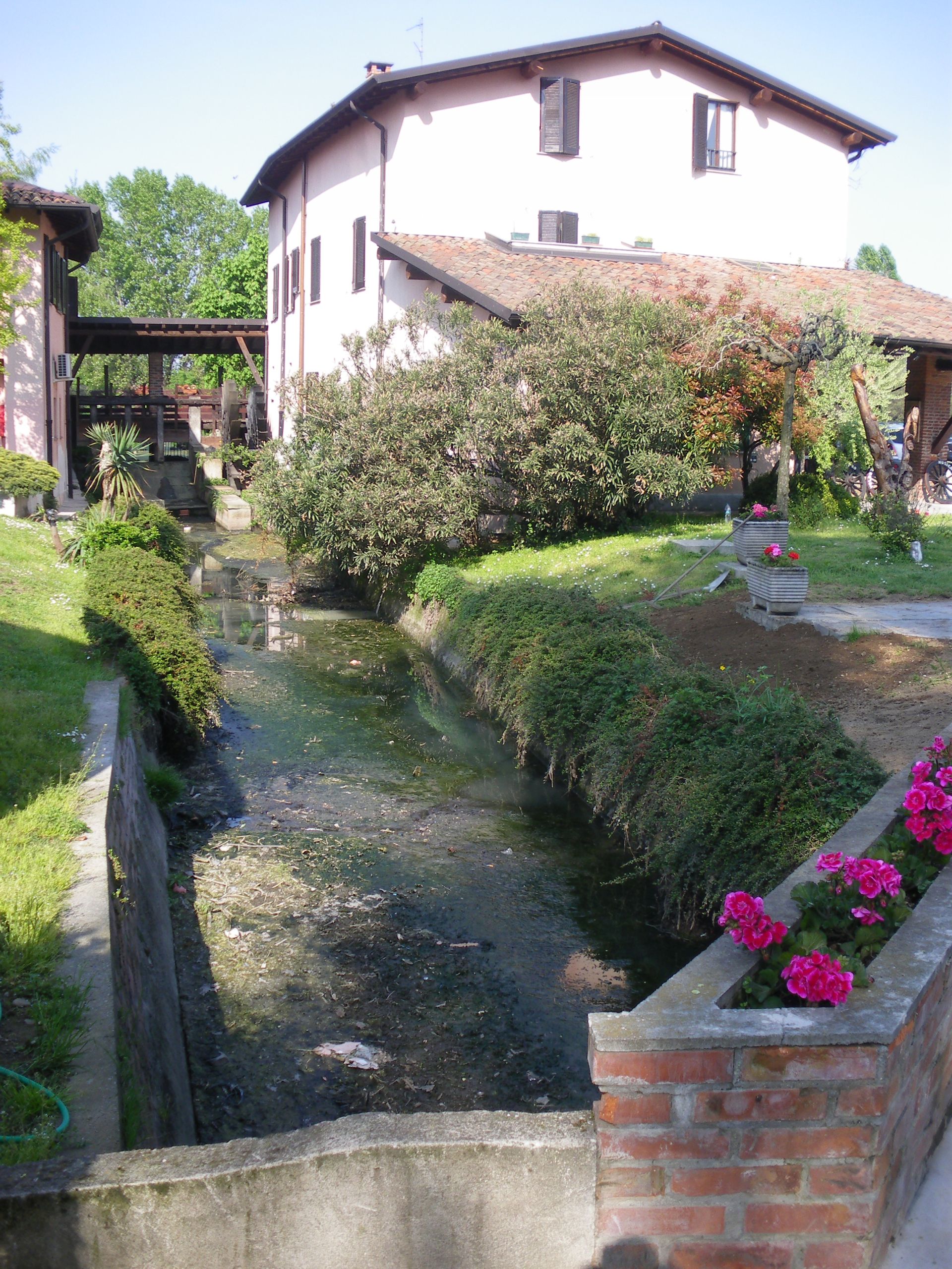 Sognare è vivere-Fondazione Exodus - don Mazzi