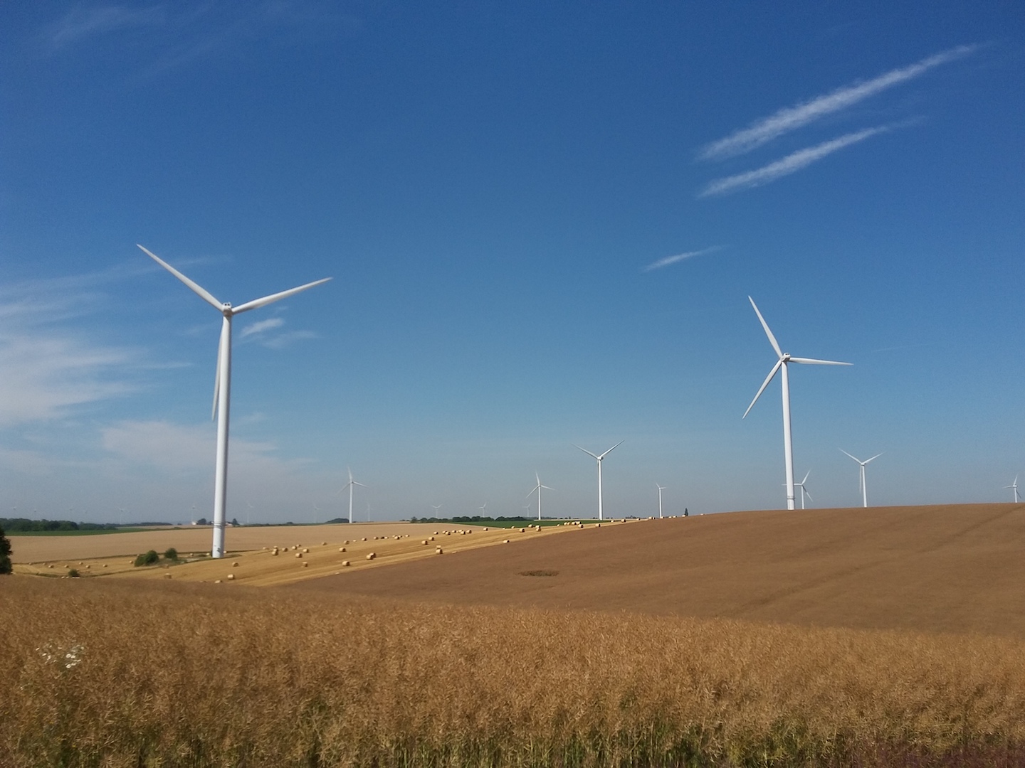 EDPR #RUNFOREMMA&FRIENDS di EDP RENEWABLES EUROPE SL EDPR #RUNFOREMMA&FRIENDS-EDP RENEWABLES EUROPE SL