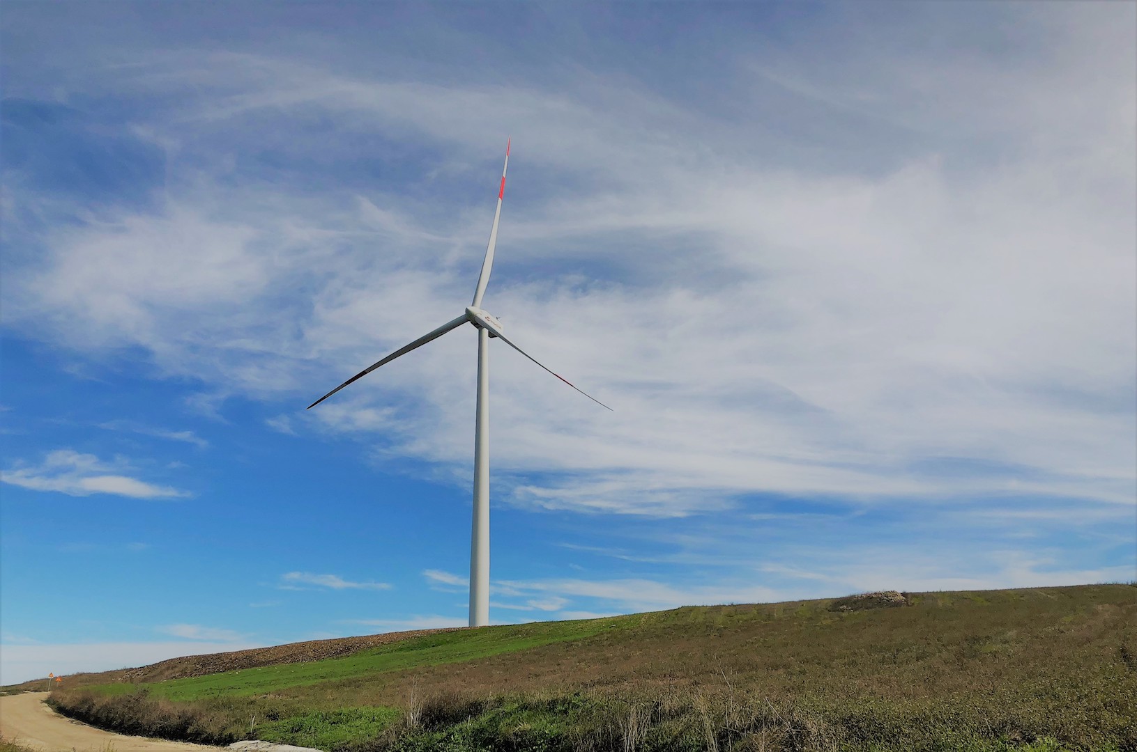 EDPR #RUNFOREMMA&FRIENDS di EDP RENEWABLES EUROPE SL EDPR #RUNFOREMMA&FRIENDS-EDP RENEWABLES EUROPE SL