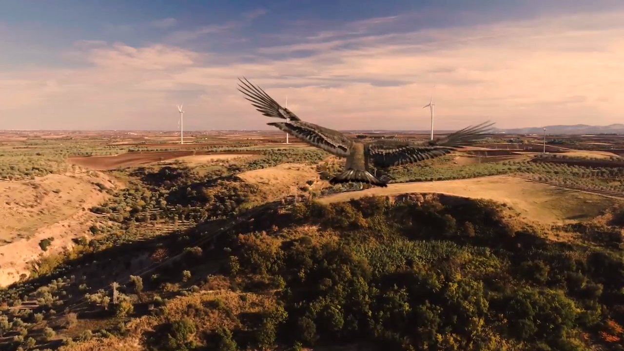 EDPR #RUNFOREMMA&FRIENDS di EDP RENEWABLES EUROPE SL EDPR #RUNFOREMMA&FRIENDS-EDP RENEWABLES EUROPE SL