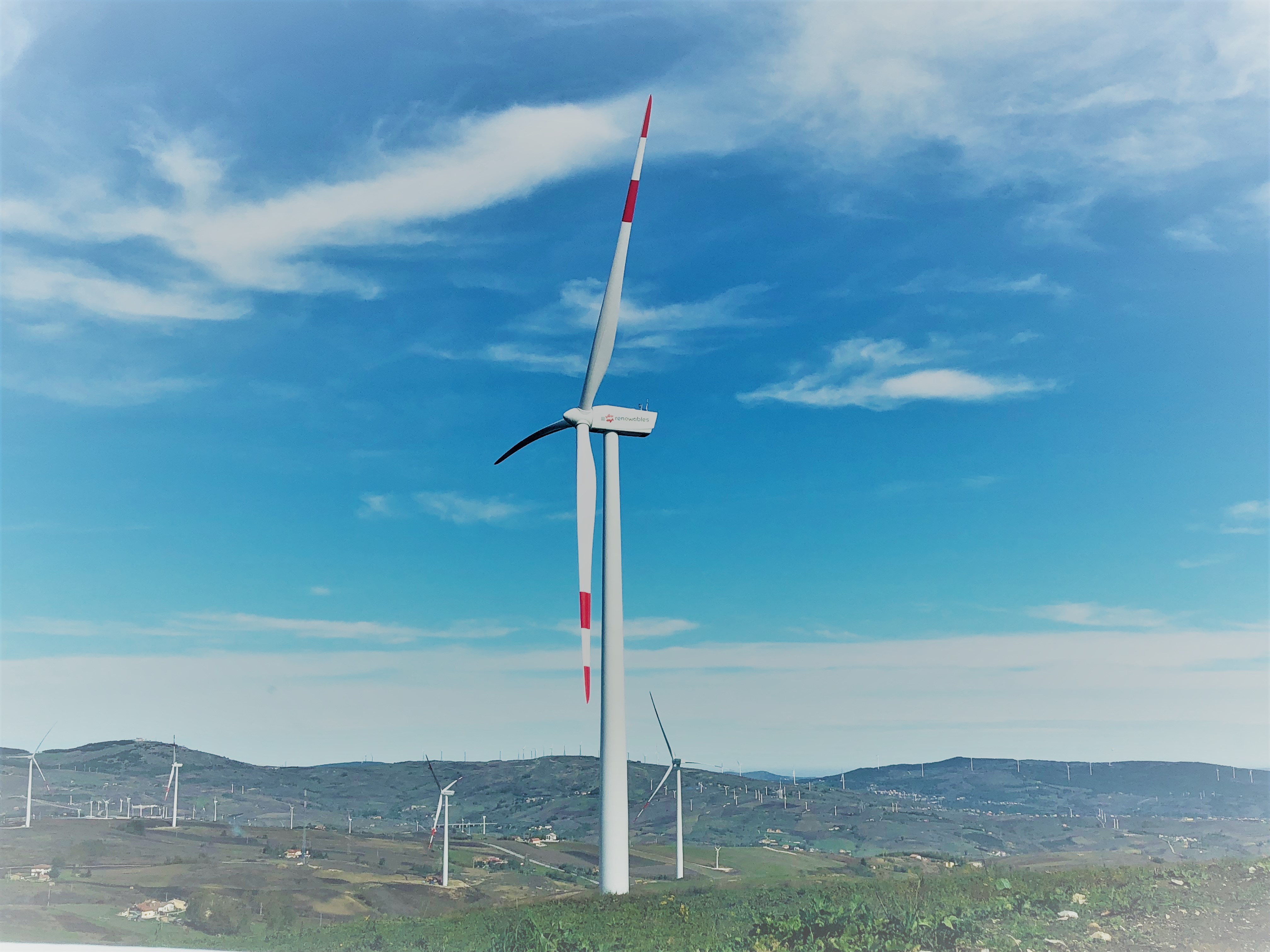 EDPR #RUNFOREMMA&FRIENDS di EDP RENEWABLES EUROPE SL EDPR #RUNFOREMMA&FRIENDS-EDP RENEWABLES EUROPE SL