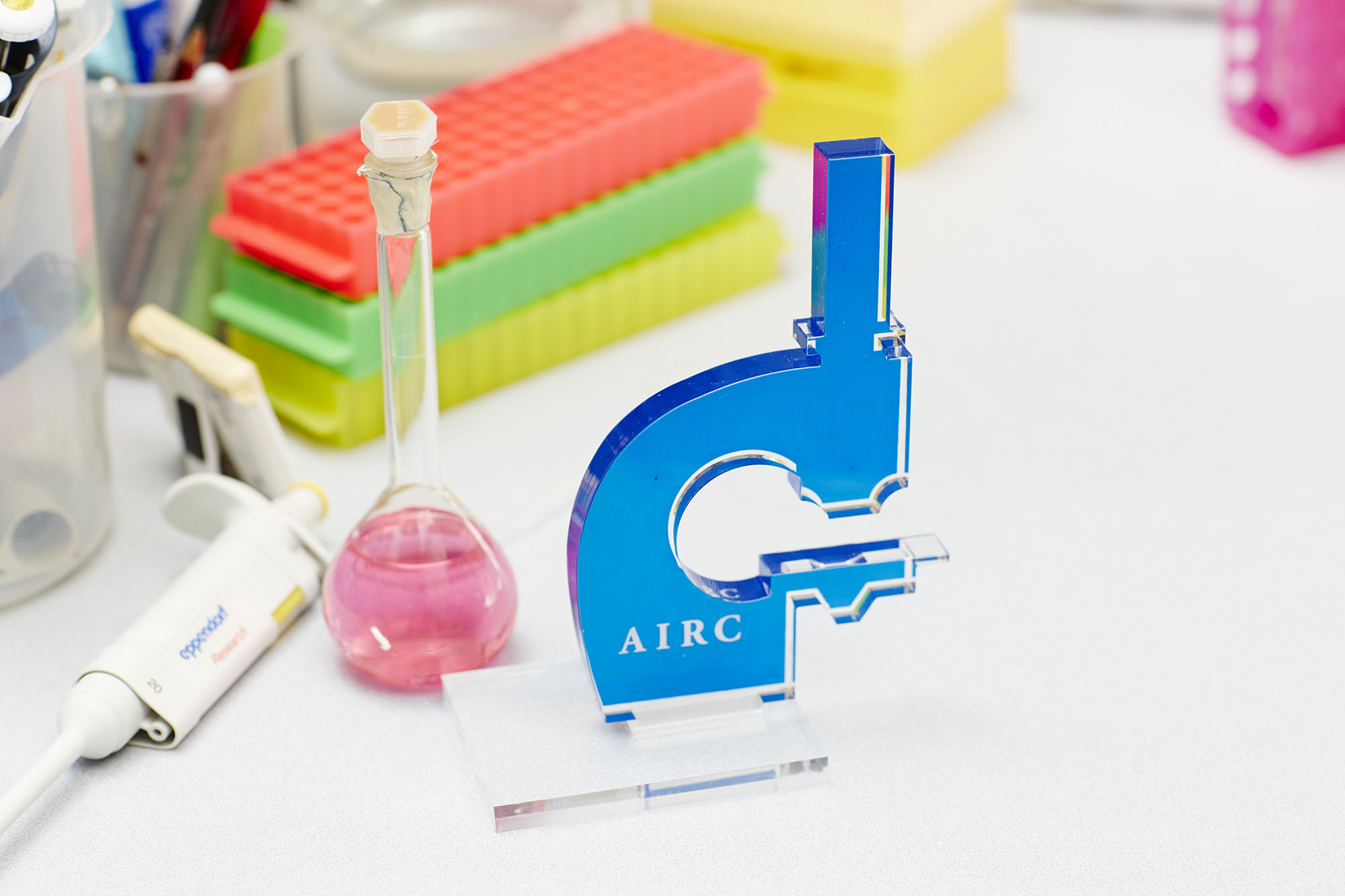 AIRC4AIRC-Niccolò Contucci