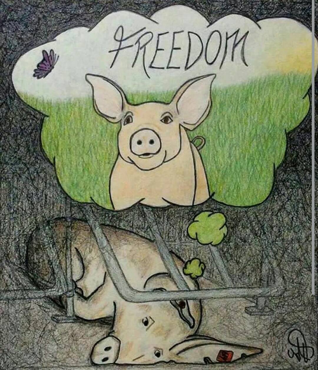 CORRERE PER VIVERE-Massimo Antidormi