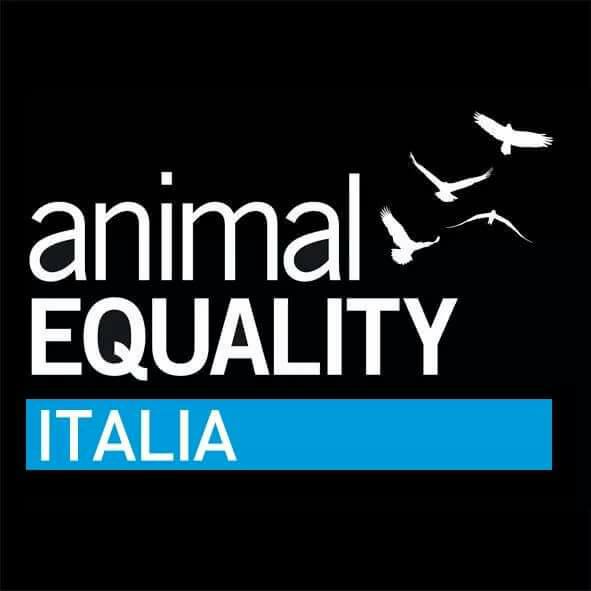 CORRERE PER VIVERE-Massimo Antidormi