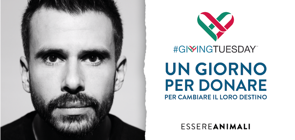 Una speranza per gli animali-Giovanni Menniti