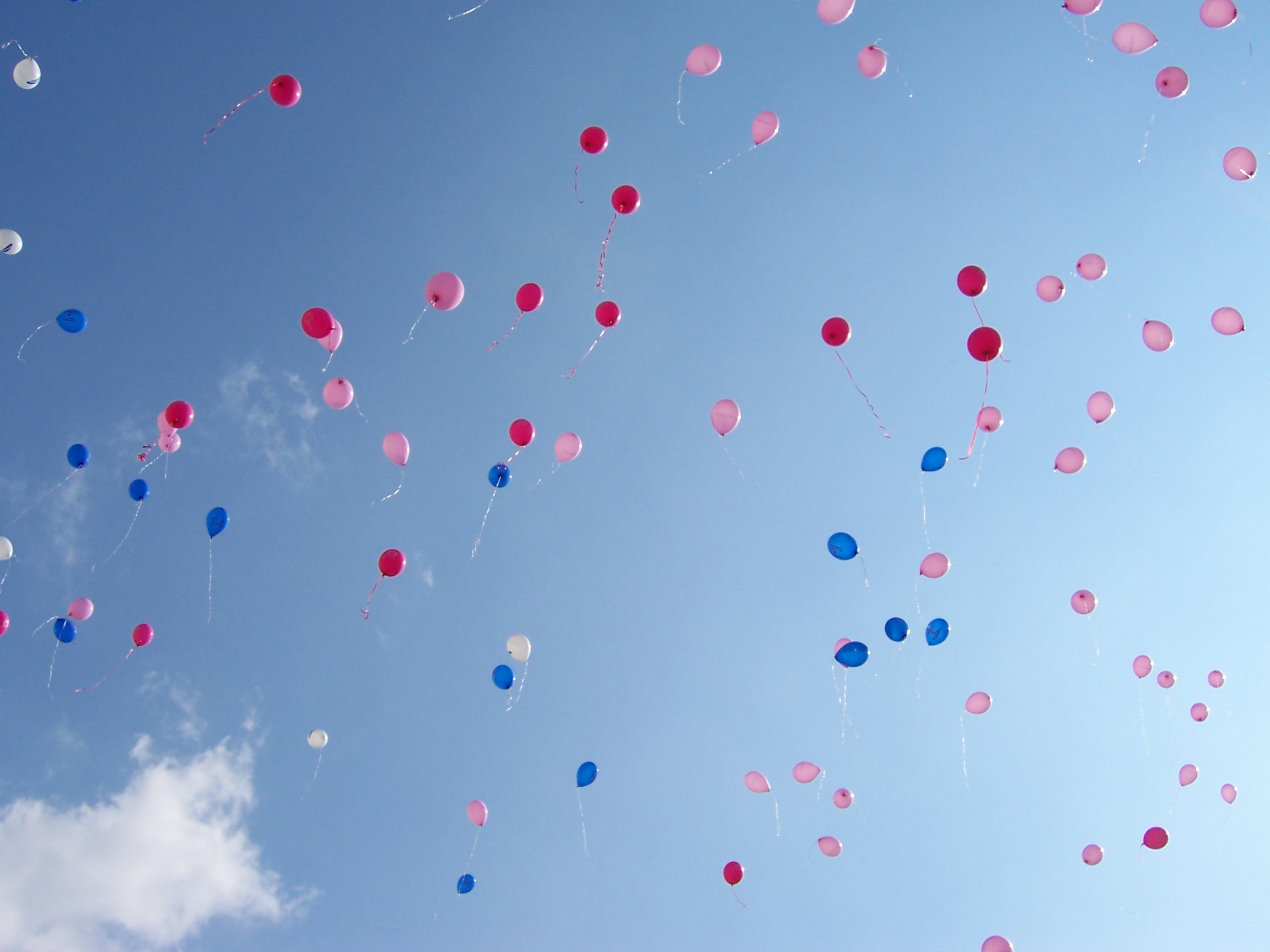 Camminiamo insieme con GIO.I.A.-Le donne  di Volontà di Vivere