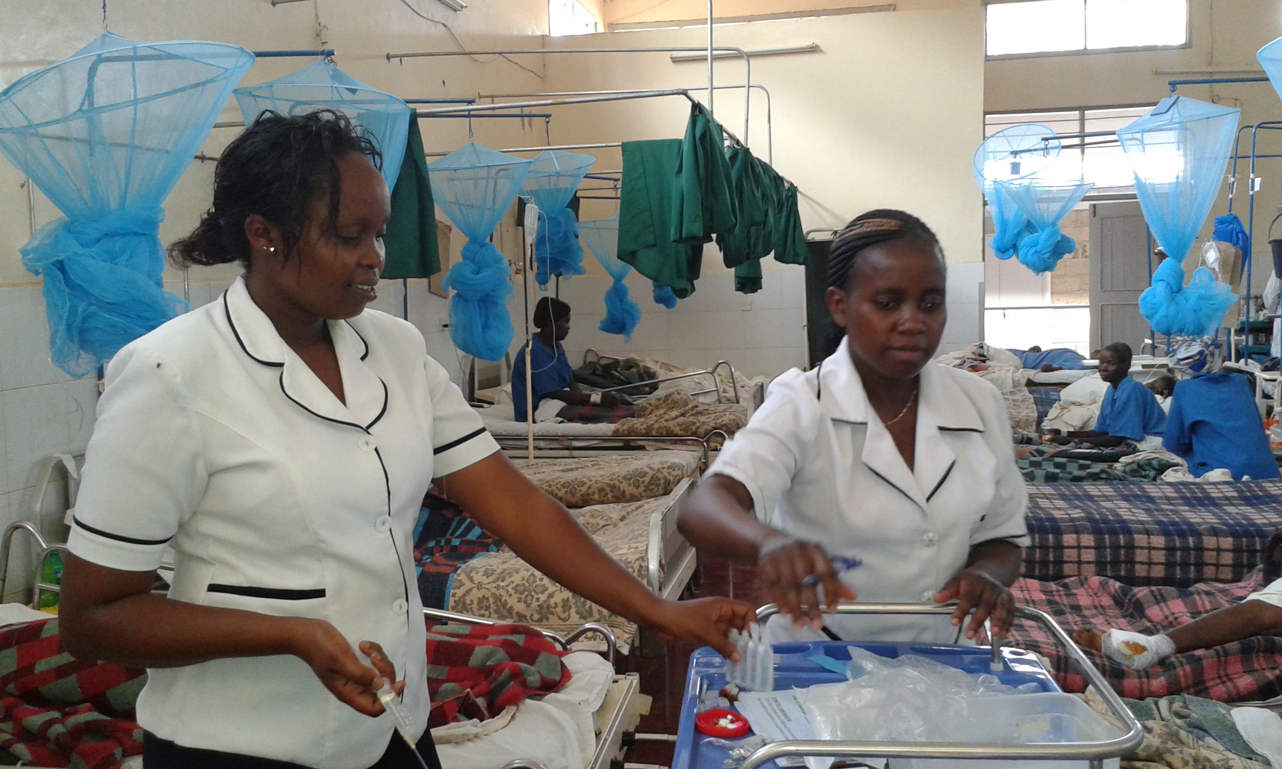 Sposta l'elefante-Ultratrail per Africa.-Stefania Ferrante