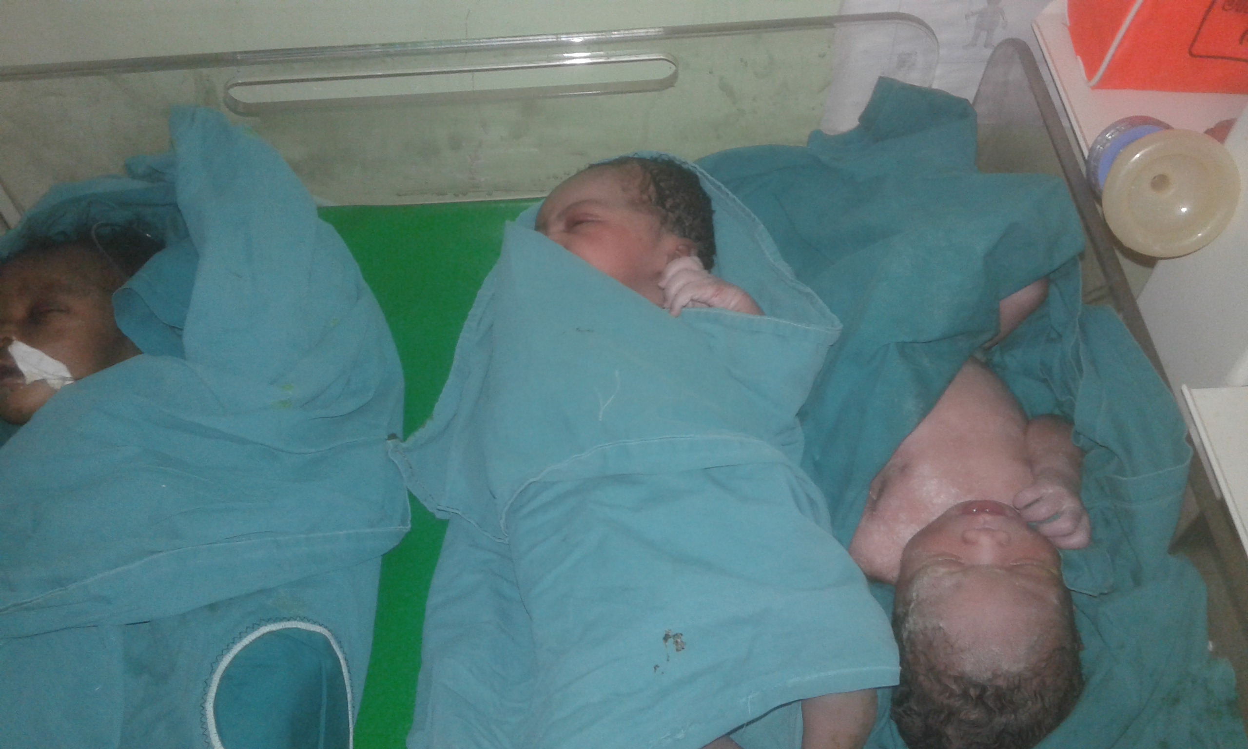 Sposta l'elefante-Ultratrail per Africa.-Stefania Ferrante