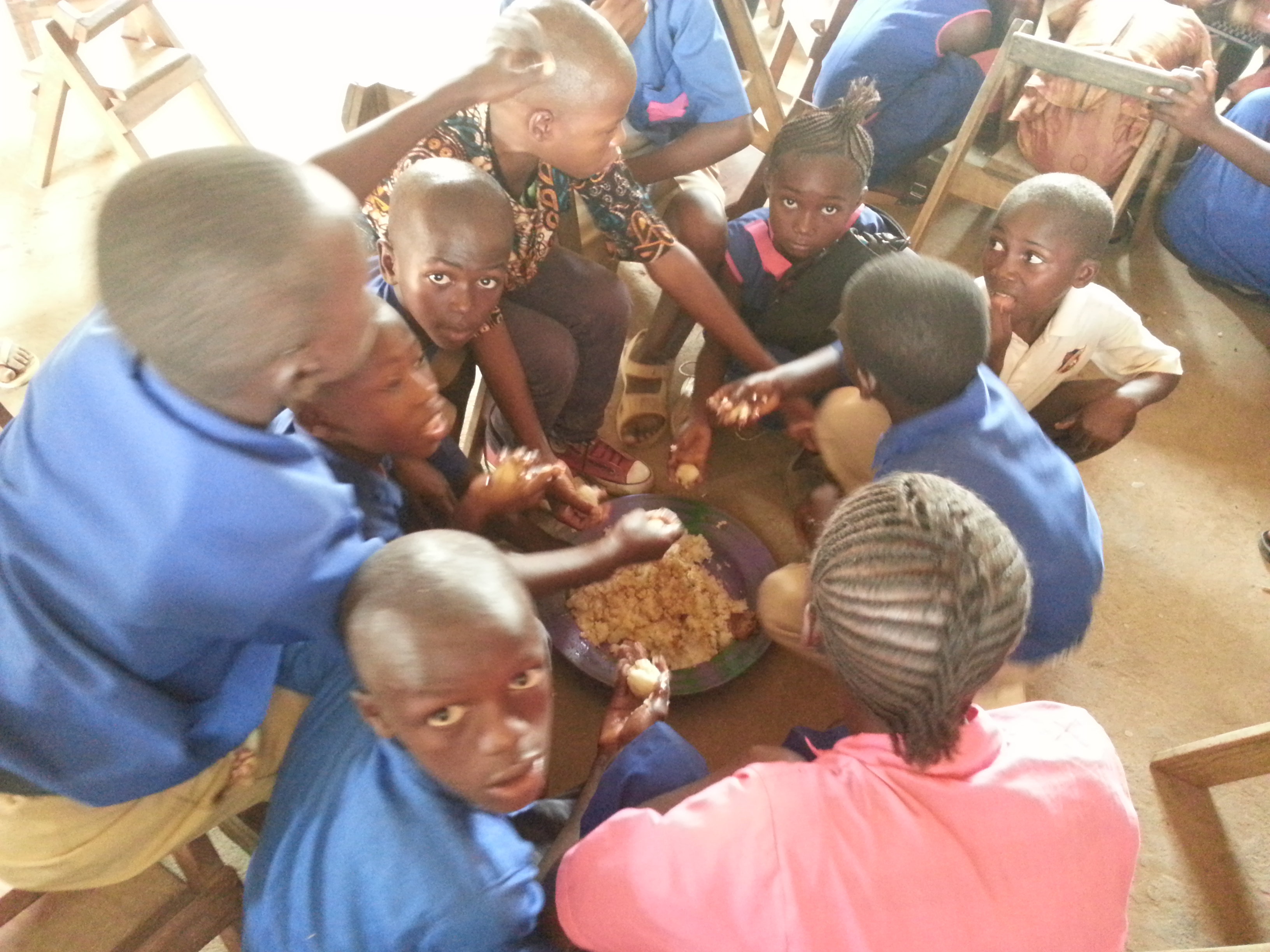 " I NOSTRI PICCOLI AMICI" di Massimo Castorina " I NOSTRI PICCOLI AMICI"-Massimo Castorina