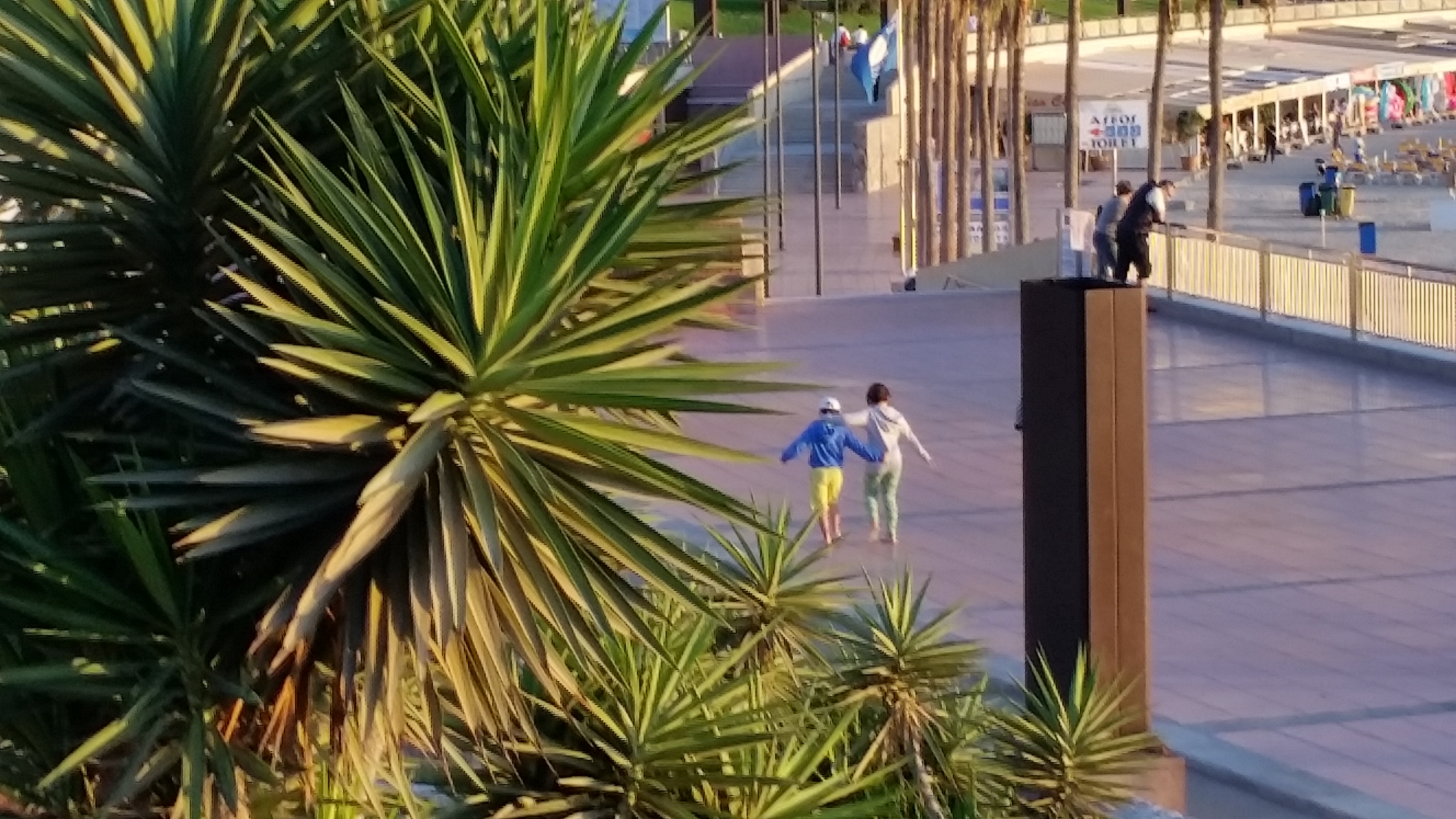 Pres, Asso, Rouge e Maestro x ACC!! di Alberto Mazzi Pres, Asso, Rouge e Maestro x ACC!!-Alberto Mazzi