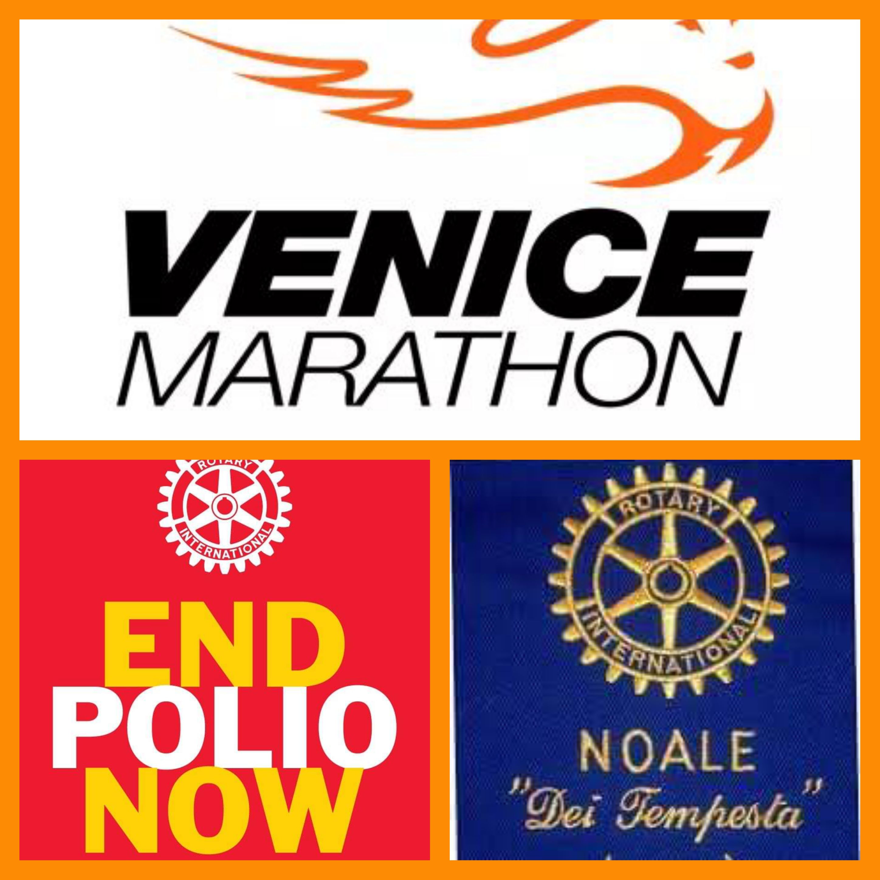 Annamaria RC Venezia Noale dei Tempesta di Annamaria Tosatto Annamaria RC Venezia Noale dei Tempesta-Annamaria Tosatto