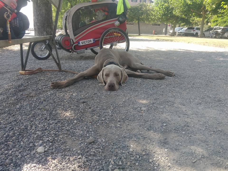 1000km a piedi contro il neuroblastoma di Mikhael Bellanza 1000km a piedi contro il neuroblastoma-Mikhael Bellanza