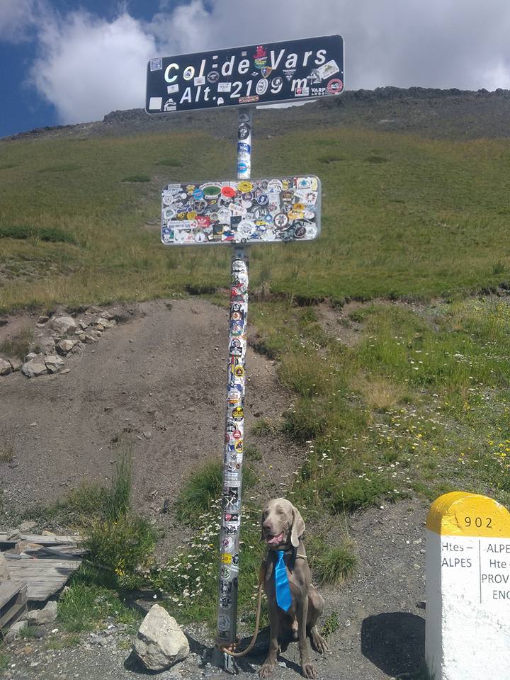 1000km a piedi contro il neuroblastoma di Mikhael Bellanza 1000km a piedi contro il neuroblastoma-Mikhael Bellanza