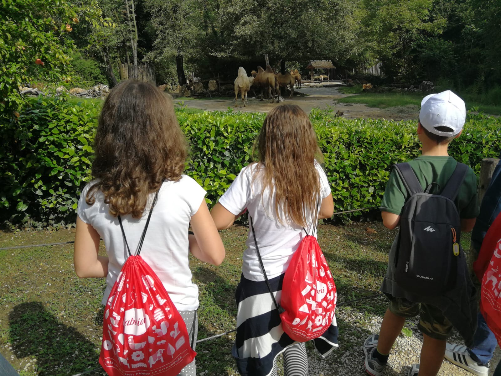 CorriAmo la Vita! di Caterina Pettinato CorriAmo la Vita!-Caterina Pettinato