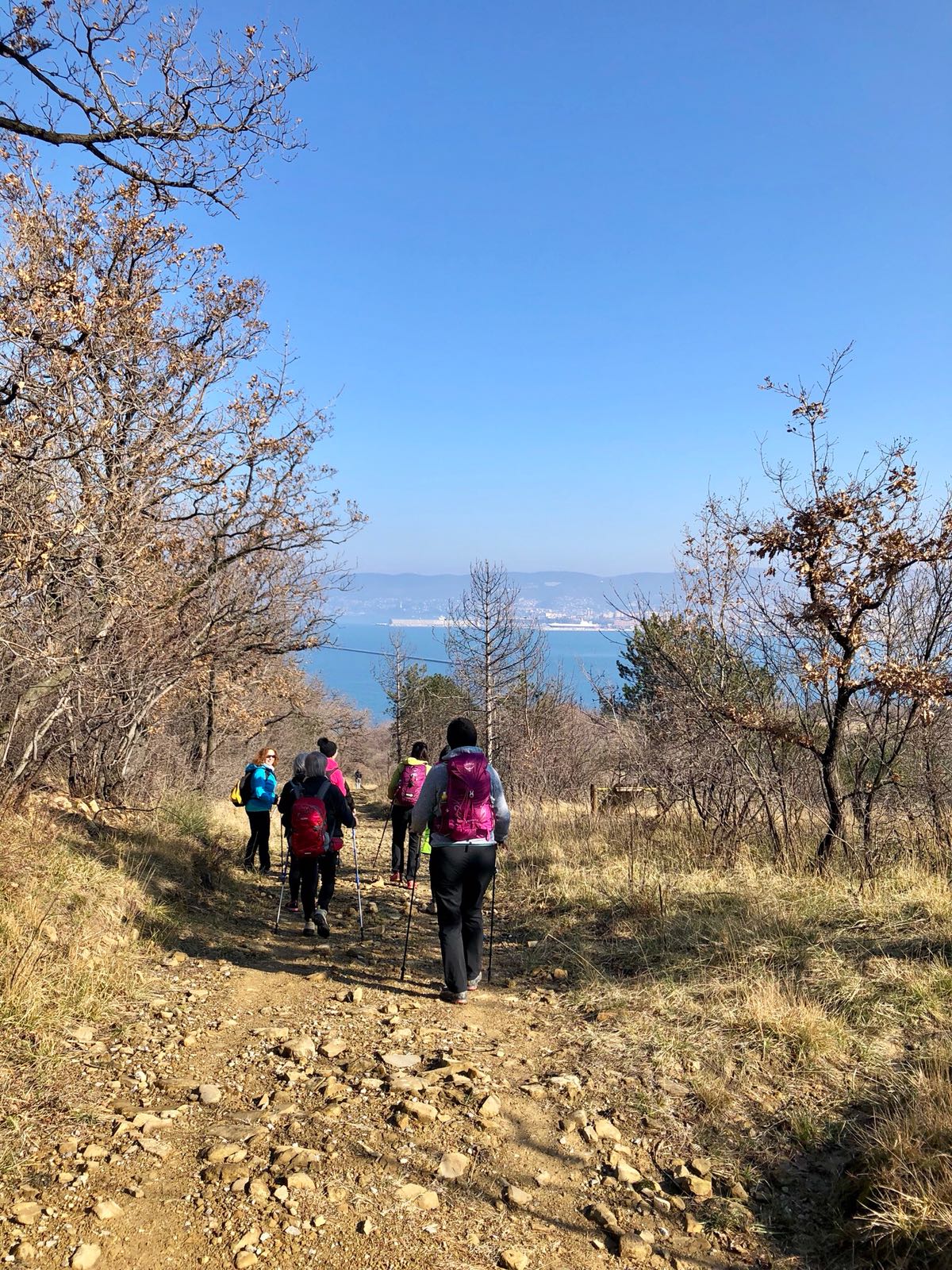 Con nuovi occhi sulla Via Flavia-Paola Caroli