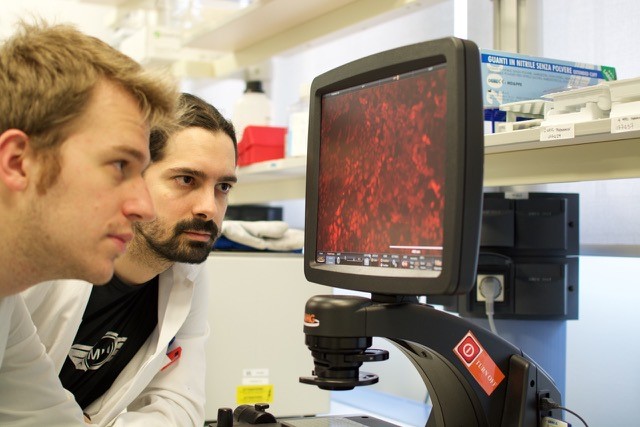 VaBoNiNa: 4 istituti uniti per AIRC di tiziana bonaldi VaBoNiNa: 4 istituti uniti per AIRC-tiziana bonaldi