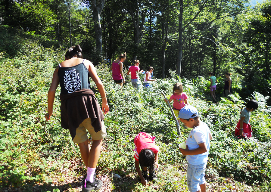 CORRIAMO PER IL GABBIANO-cecilia avogadro