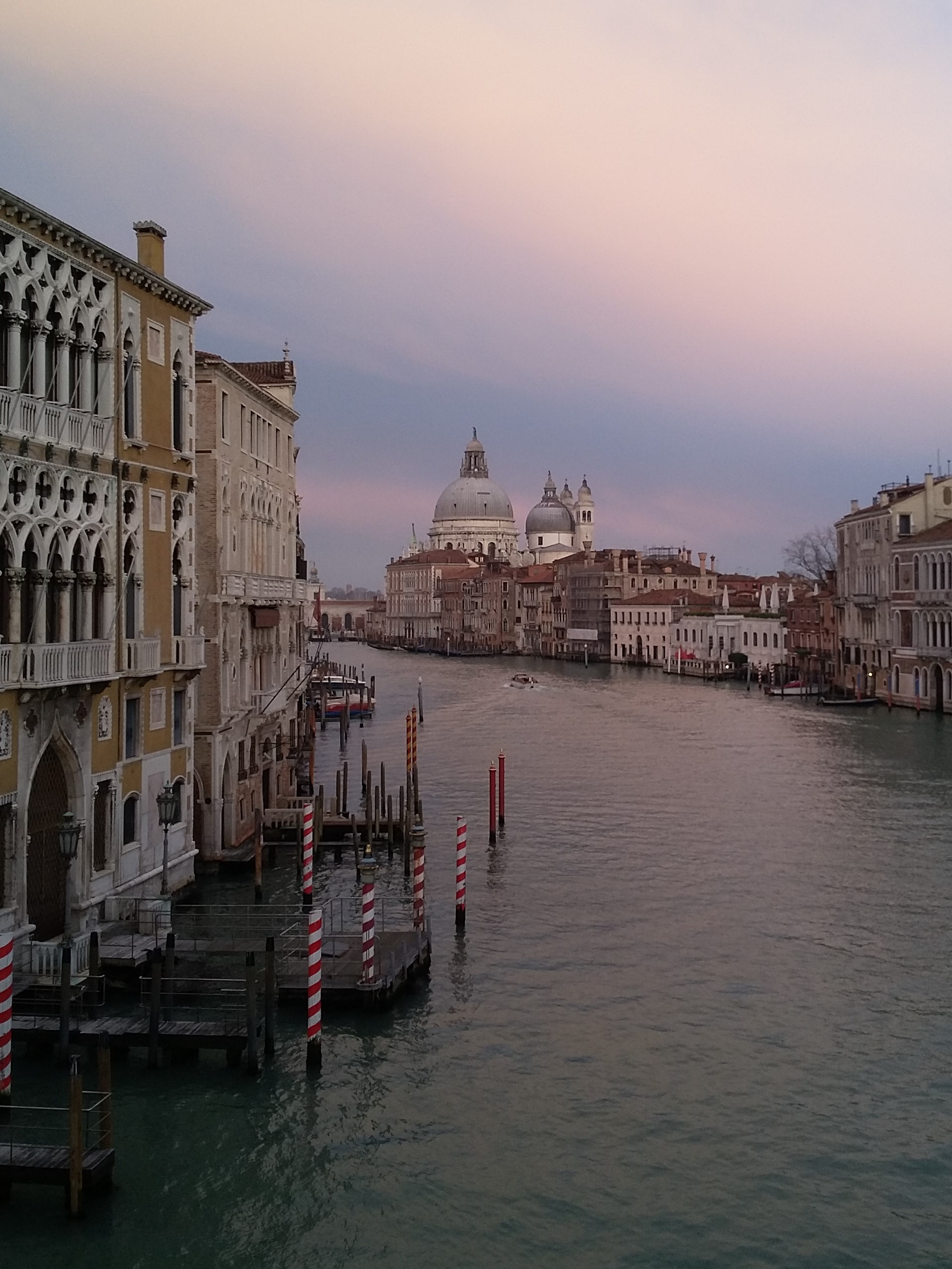 Flying nurses -Nicola Trevisan