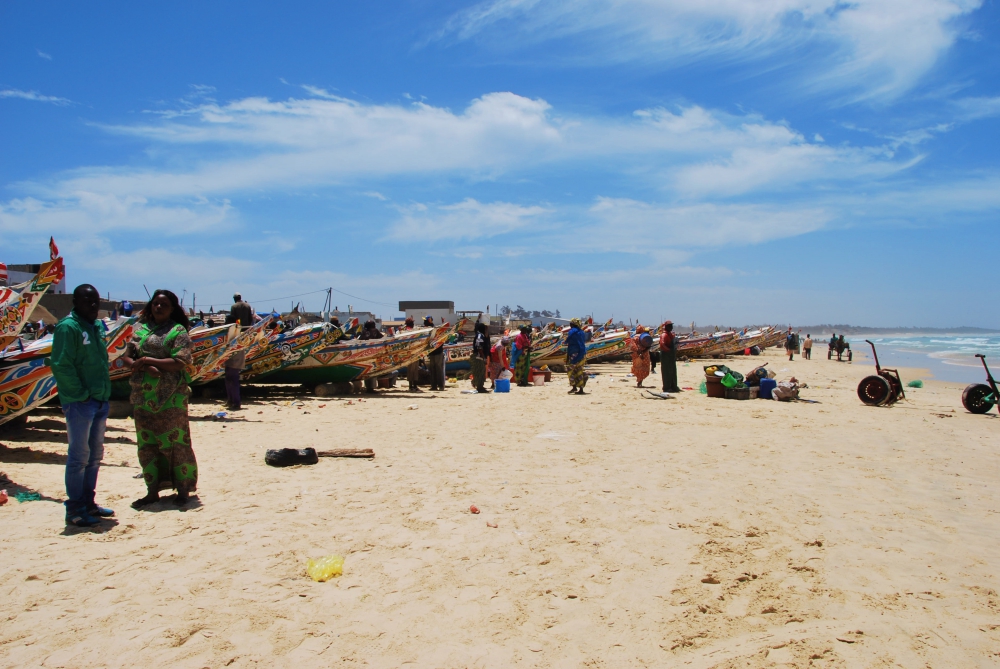 PIANTAla lì e corri con me!-Irene Maina