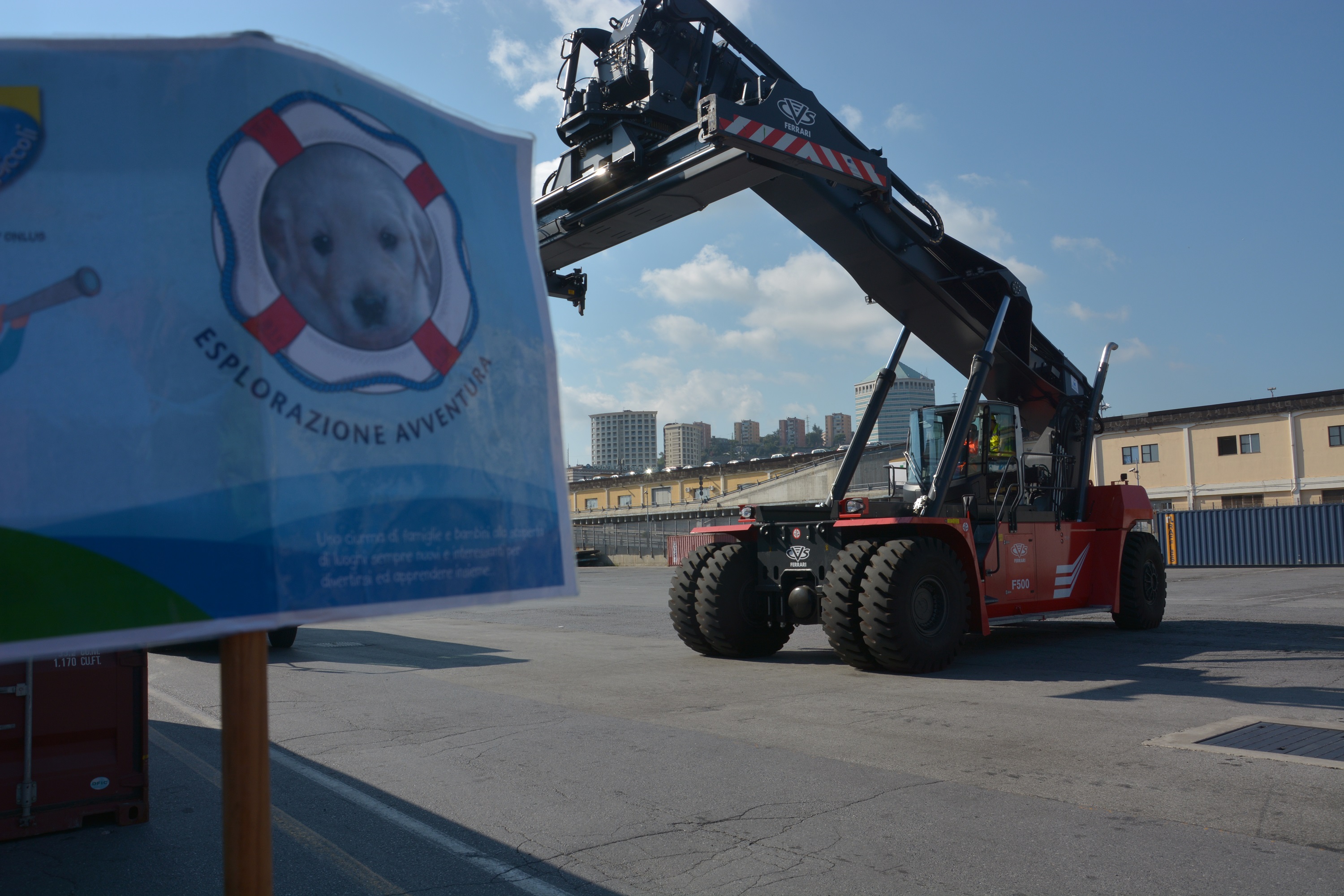 "Il cuore dentro alle scarpe"-Marco Ghia