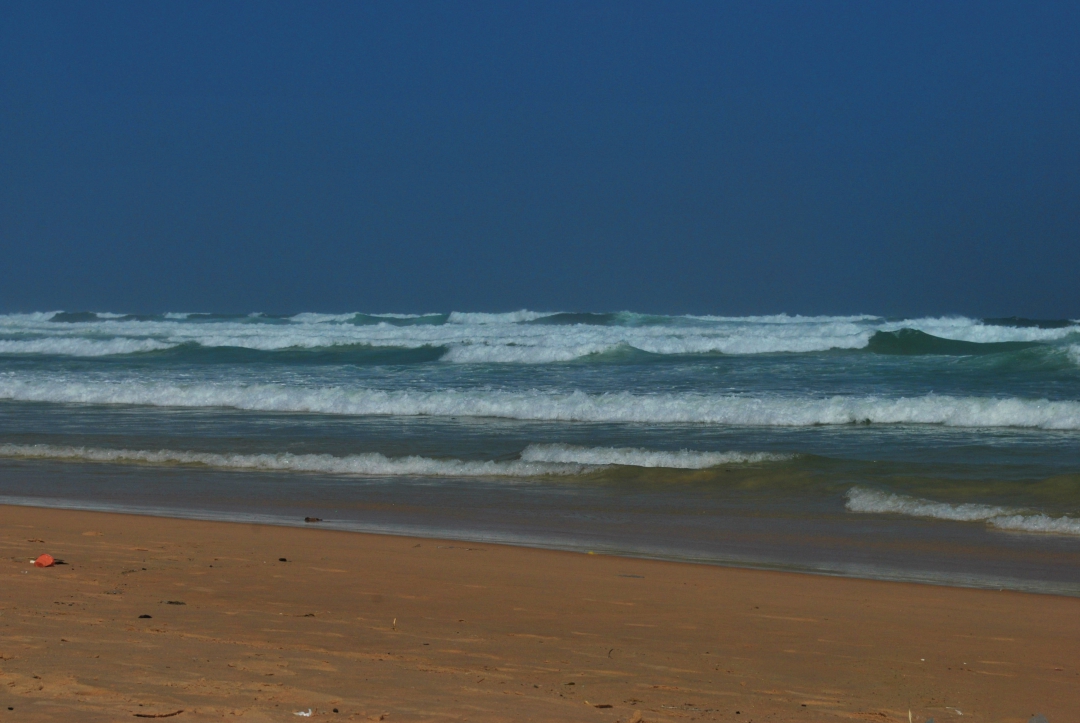 PIANTAla lì e corri con me!-Irene Maina