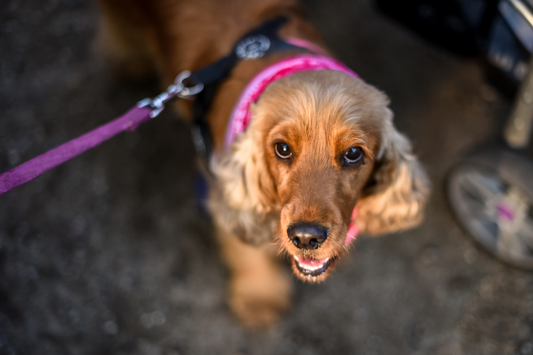 Se puoi immaginarlo puoi farlo-Marco Colosio