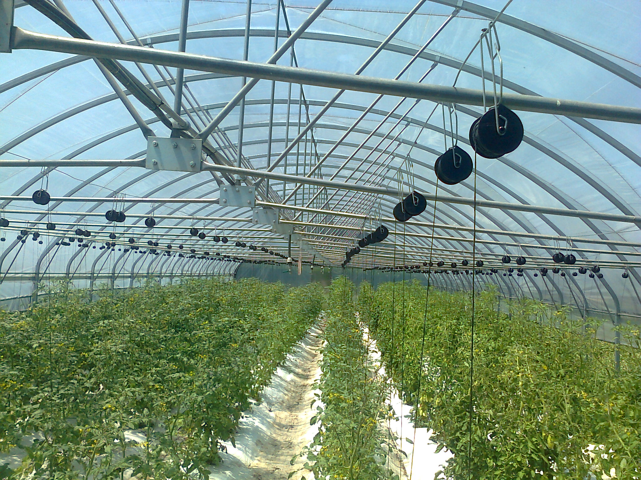 Orto sostenibile AMMP GIORGIO VALSANIA-ESSEBI GROUP di Egidio Boggia e Luca Signore