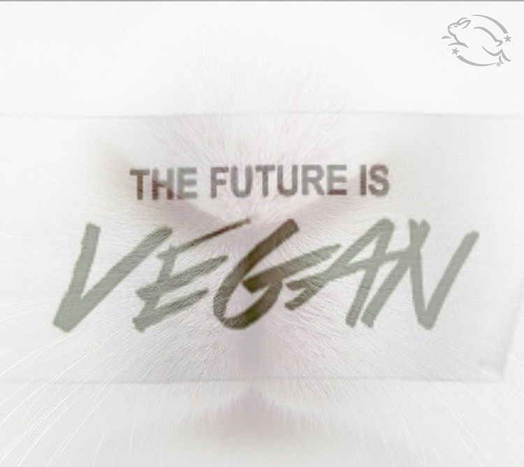 Diamo voce ai nostri fratelli Animali! di Ludovica Da Re Diamo voce ai nostri fratelli Animali!-Ludovica Da Re