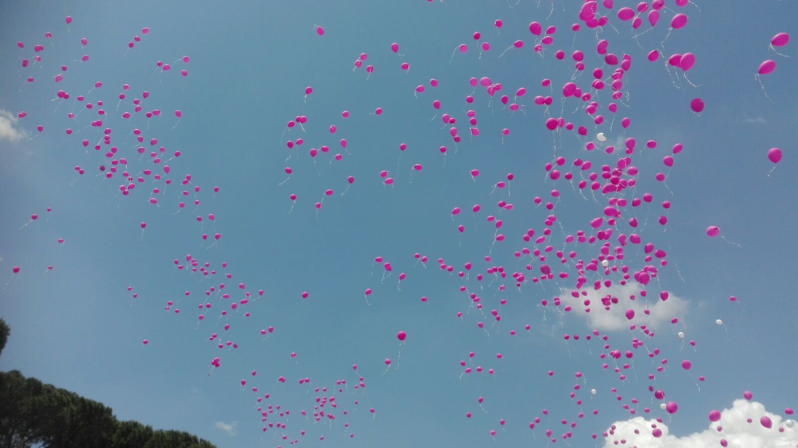 Fai correre il rosa!-Giorgia Boromei
