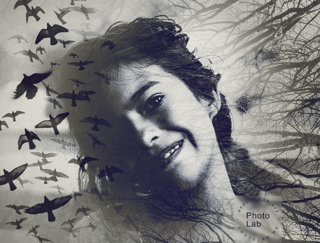 IL GIARDINO ITINERANTE-FIORELLA IORIO