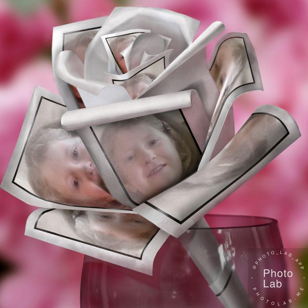 IL GIARDINO ITINERANTE-FIORELLA IORIO