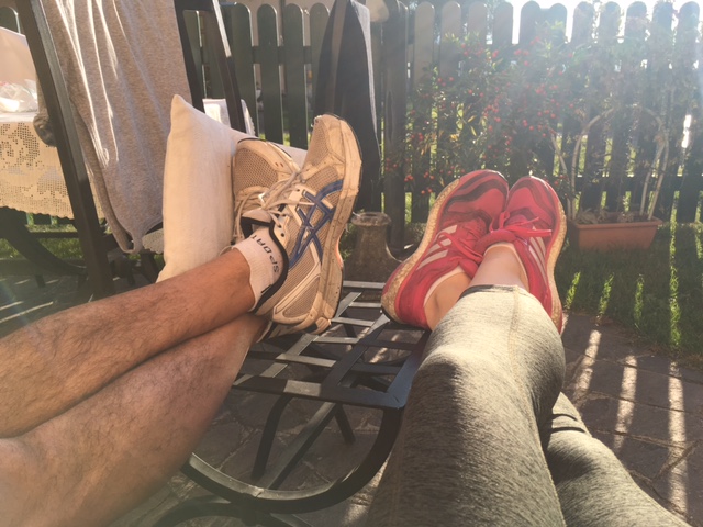 Crazy Animals-laura ricci