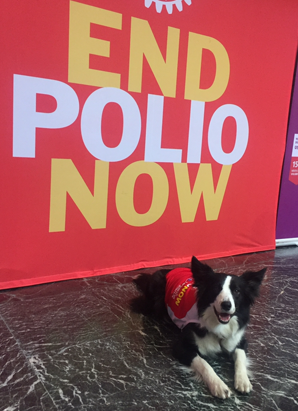 Gemma per RC Roma Centenario di Gemma Fedrizzi Gemma per RC Roma Centenario-Gemma Fedrizzi