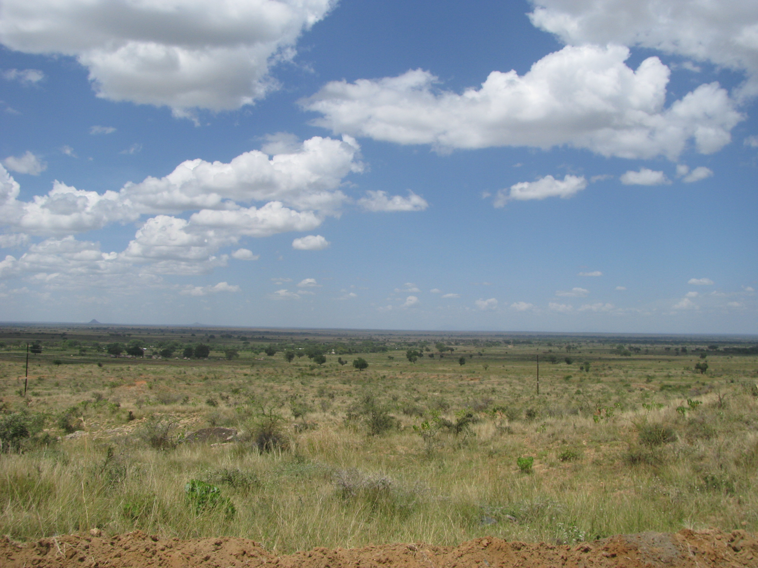 5 pani e 2 pesci-AfricaMission Veneto