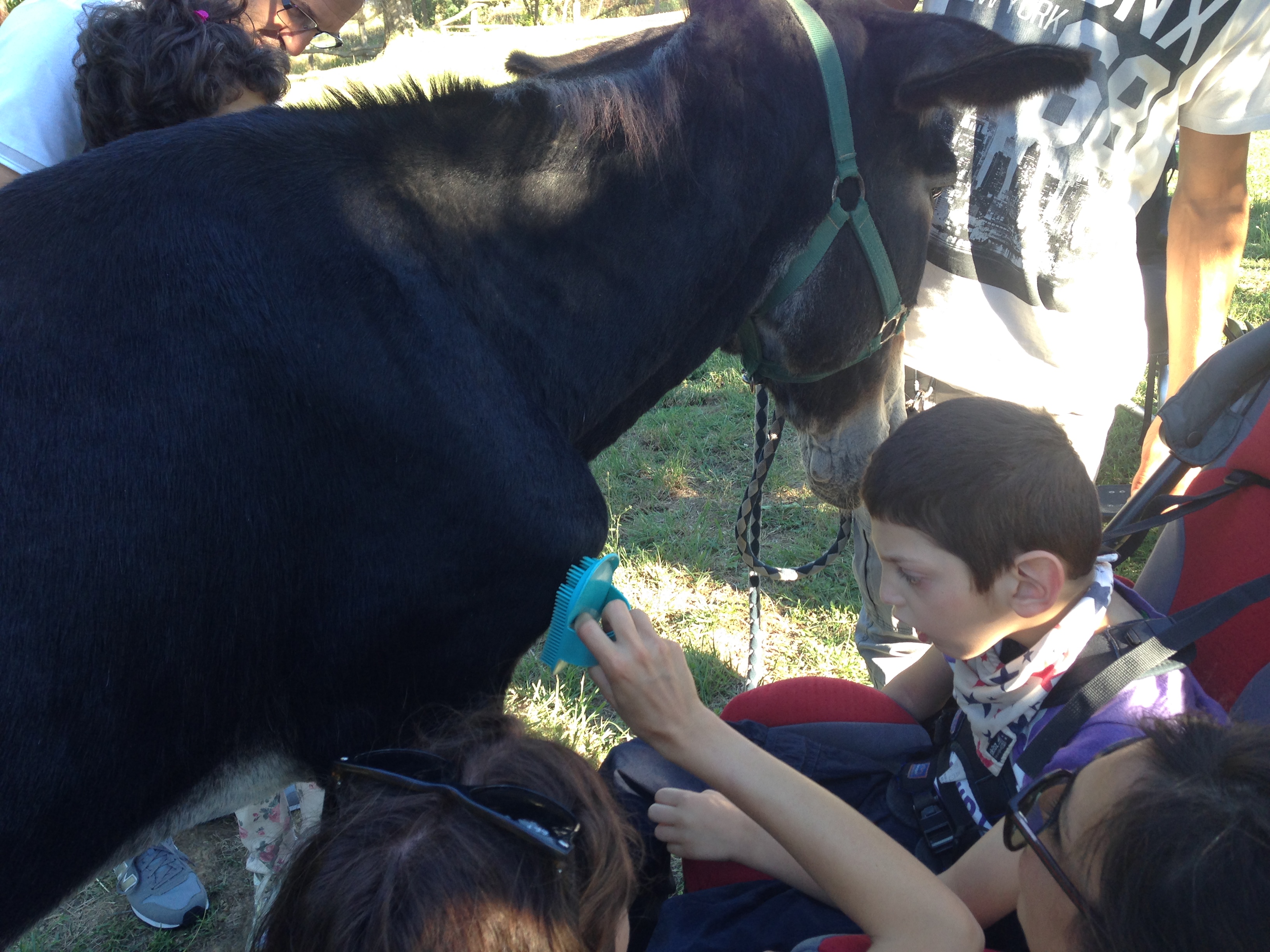 MOLTIPLICA la GIOIA !-Cristiana Carniel