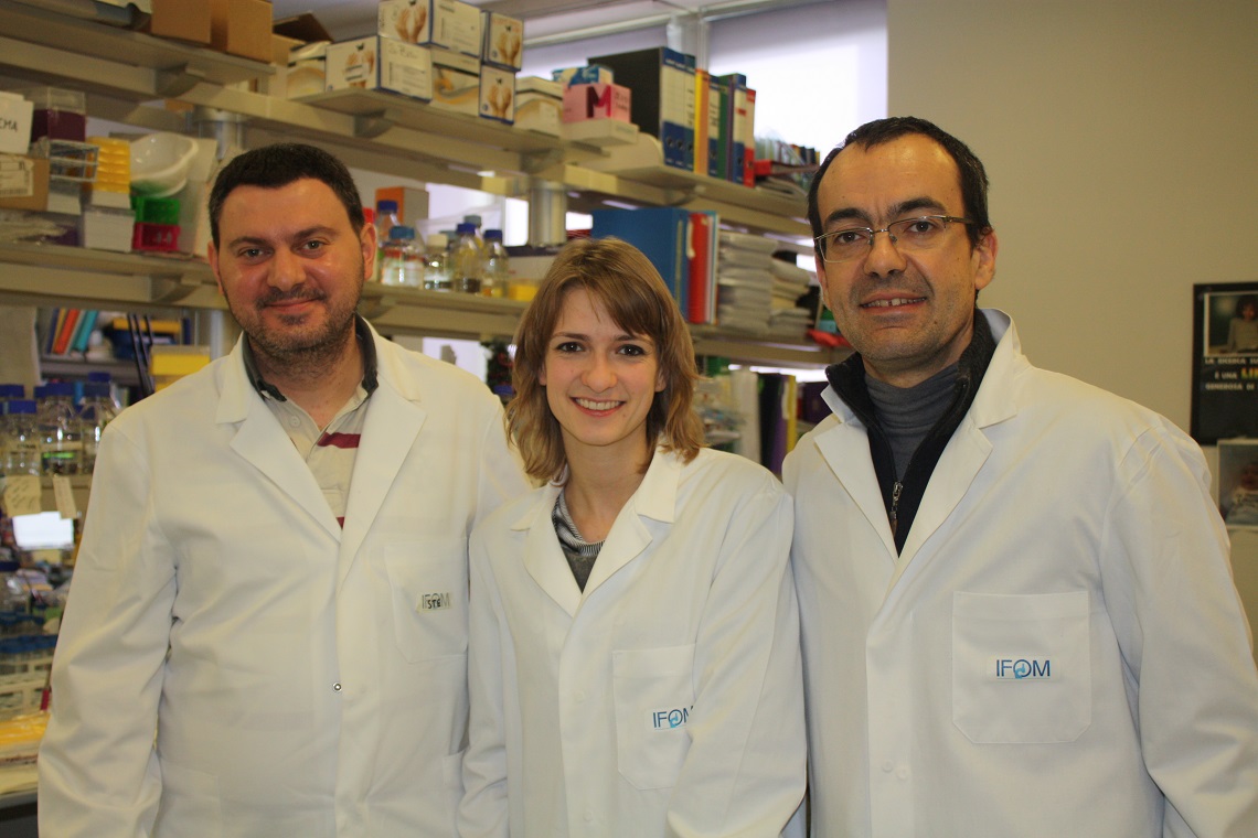 Fulmini di guerra-Sara Bisi