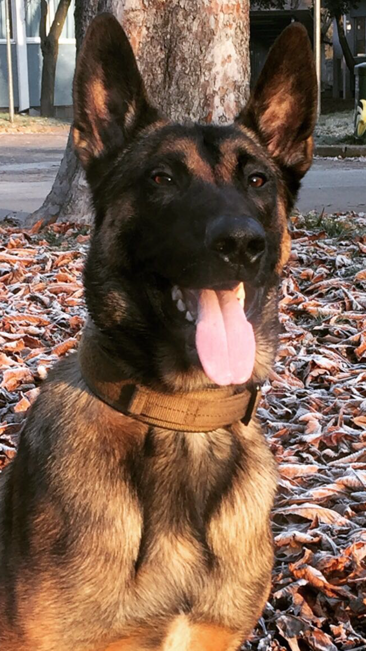 Corriamo per una buona causa-Stefano Gaeta