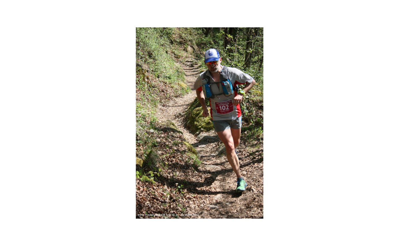 Bologna’s 3 “T”: 2Towers' Turtles-Luca Rapagnà