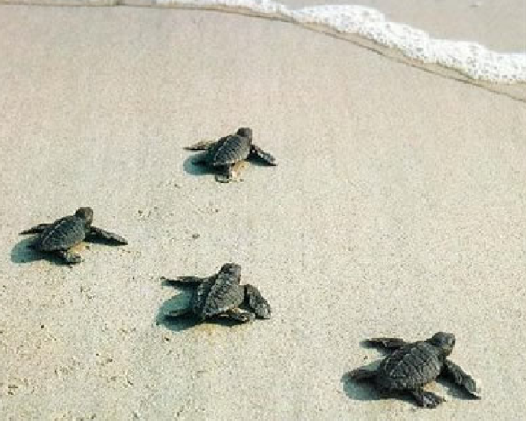 corriamo insieme di Giada Avagliano corriamo insieme-Giada Avagliano