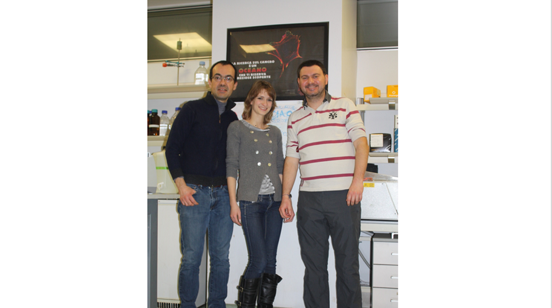 Fulmini di guerra-Sara Bisi