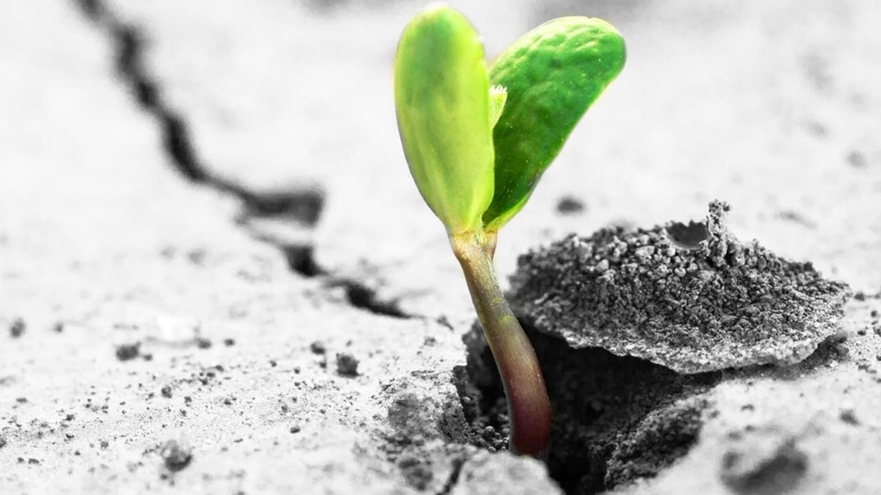 Abbiamo un Piano e sembra Forte! di Erica Casagrande Abbiamo un Piano e sembra Forte!-Erica Casagrande