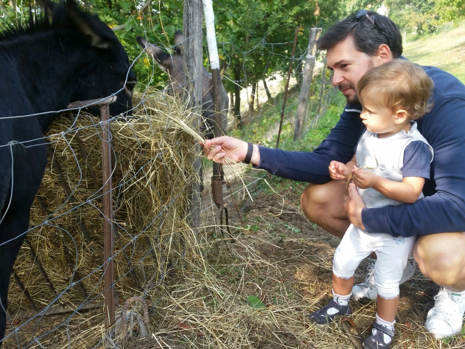 Corriamo per i diritti degli animali-Luigi Bianchi