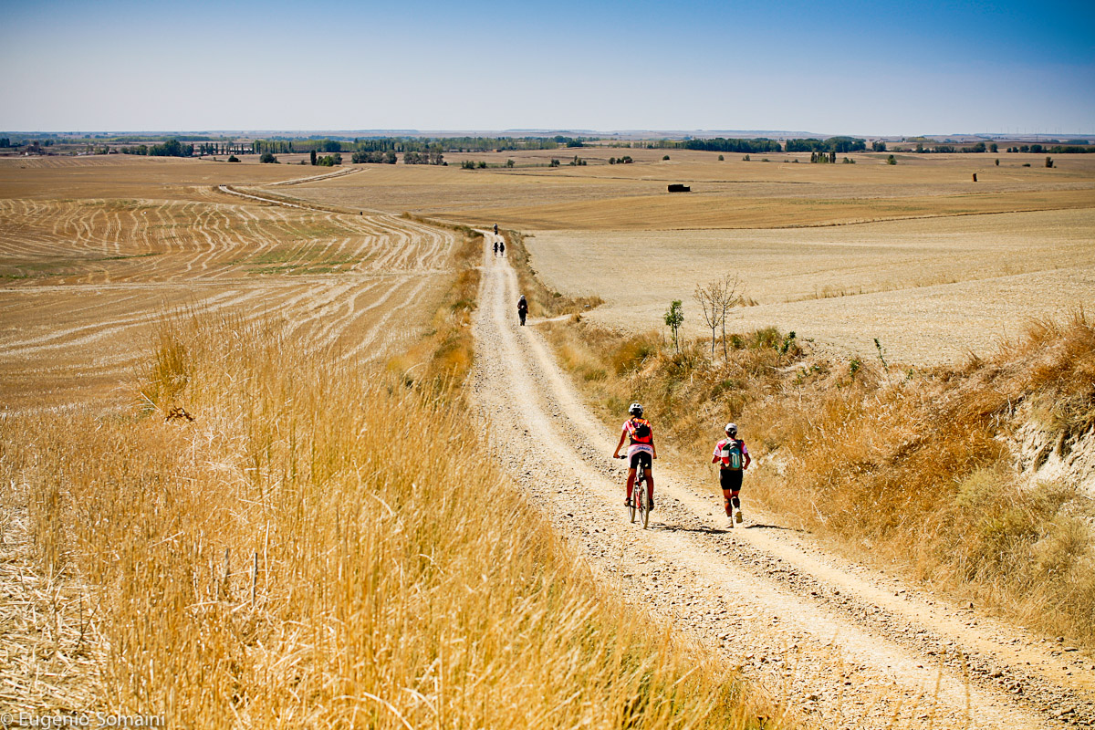 #INSIEME CorriamoInRosaPer La Ricerca di Rita Tessari #INSIEME CorriamoInRosaPer La Ricerca-Rita Tessari